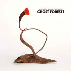 Meg Baird / Mary Lattimore Ghost Forests Vinyl LP USED