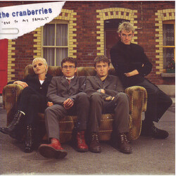 The Cranberries Ode To My Family USED VINYL 7INCH 45 RPM SINGLE