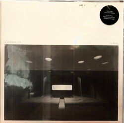 Lo Moon A Modern Life Vinyl LP USED