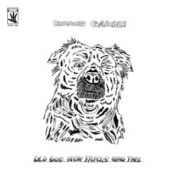 Common Grackle Old Dog New Tricks Who This Vinyl LP USED