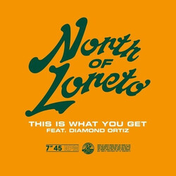 North Of Loreto This Is What You Get USED VINYL 7INCH 45 RPM SINGLE