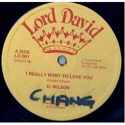 Dwight Wilson I Really Want To Love You USED VINYL 12INCH 45 RPM