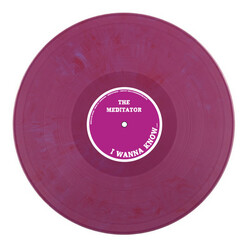 The Meditator I Wanna Know USED VINYL 12INCH 45 RPM