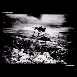 Cross Section (2) Abandoned USED VINYL 7INCH 33 S RPM