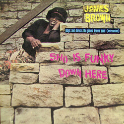 James Brown / The James Brown Band Sho Is Funky Down Here Vinyl LP USED