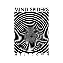 Mind Spiders Meltdown Vinyl LP USED