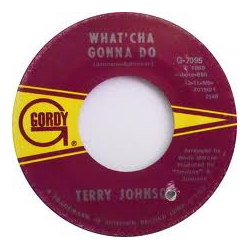 Terry Johnson What'cha Gonna Do / Suzie Vinyl 7" USED
