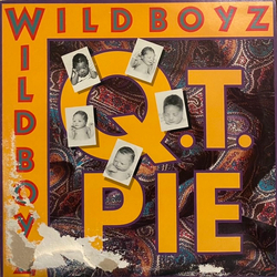 The Wild Boyz Q.T. Pie Vinyl 12" USED