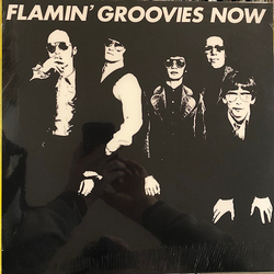The Flamin' Groovies Now Vinyl LP USED