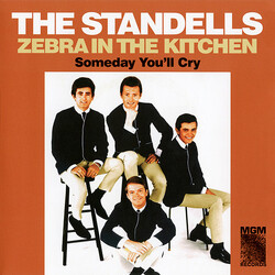 The Standells Zebra In The Kitchen / Someday You'll Cry USED VINYL 7INCH 45 RPM RECORD STORE DAY SINGLE LIMITED EDITION REISSUE