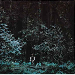 Paul Winter (2) / The Winter Consort Something In The Wind Vinyl LP USED