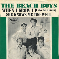 The Beach Boys When I Grow Up (To Be A Man) VINYL 7" USED