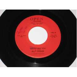 Billy Harner Irresistible You / Honky Dory Vinyl 7" USED