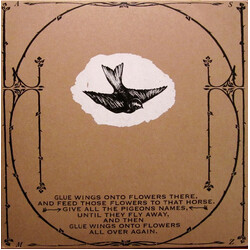 A Silver Mt. Zion Horses In The Sky Vinyl 2 LP USED