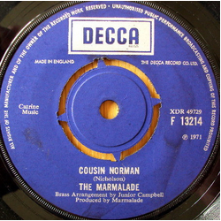 The Marmalade Cousin Norman Vinyl 7" USED