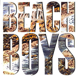 The Beach Boys The Beach Boys Vinyl LP USED