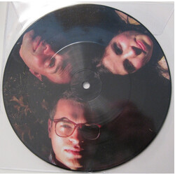 No Kids Cherry Trees / An Afternoon At The Pendleton's USED VINYL 7INCH SINGLE PICTURE DISC