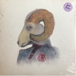 Josh Ritter See Here, I Have Built You A Mansion: Rare & Unreleased Songs Vinyl LP USED