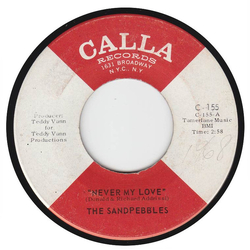 The Sandpebbles Never My Love Vinyl 7" USED