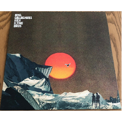 Noel Gallagher's High Flying Birds She Taught Me How To Fly Vinyl 12" USED