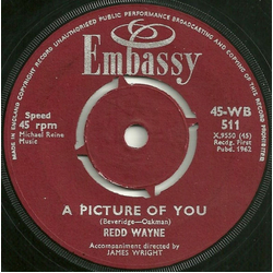 Redd Wayne / Happy Knights Jazz Band A Picture Of You / The Green Leaves Of Summer Vinyl 7" USED