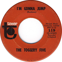 The Toggery Five I'm Gonna Jump / Bye Bye Bird Vinyl 7" USED