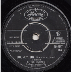 Little Richard Joy, Joy, Joy (Down In My Heart) Vinyl 7" USED