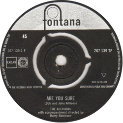 The Allisons Are You Sure Vinyl 7" USED