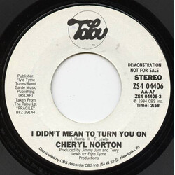 Cheryl Norton I Didn't Mean To Turn You On USED VINYL 7INCH 45 RPM PROMO
