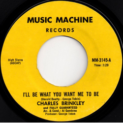 Charles Brinkley / Fully Guaranteed I'll Be What You Want Me To Be Vinyl 7" USED