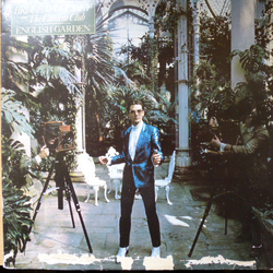 Bruce Woolley And The Camera Club English Garden Vinyl LP USED