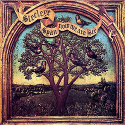 Steeleye Span Now We Are Six Vinyl LP USED