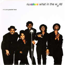 Nu Colours What In The World Vinyl 7" USED