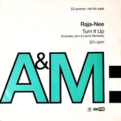 Raja-Neé Turn It Up Vinyl 12" USED