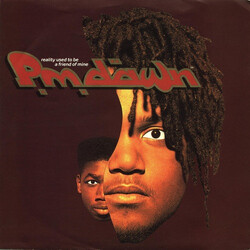 P.M. Dawn Reality Used To Be A Friend Of Mine USED VINYL 7INCH SINGLE 45 RPM