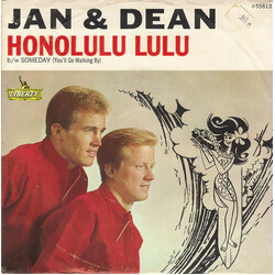 Jan & Dean Honolulu Lulu USED VINYL 7INCH 45 RPM SINGLE STYRENE
