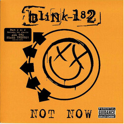 Blink-182 Not Now - Part2 USED VINYL 7INCH