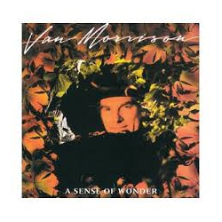 Van Morrison A Sense Of Wonder Vinyl LP USED