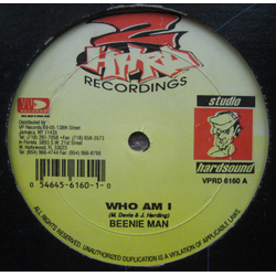 Beenie Man / Dutty Cup Who Am I / Stick It Up Vinyl 12" USED