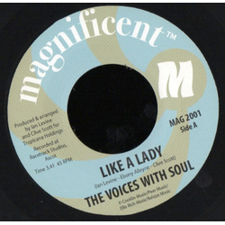 Voices With Soul Like A Lady / Walking Back From Nowhere Vinyl 7" USED