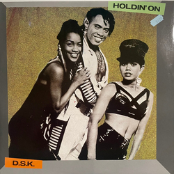 DSK Holdin' On Vinyl 12" USED