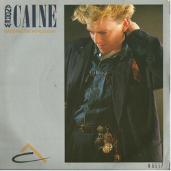 Andy Caine Watching The World Go By Vinyl 7" USED