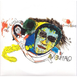 Avi Buffalo How Come? Vinyl 7" USED