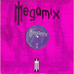 Various Megamix - Soul To Paradise Vinyl 12" USED