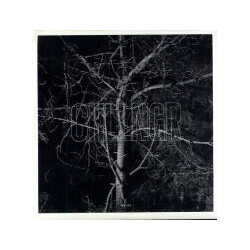 Chllngr Haven Vinyl LP USED