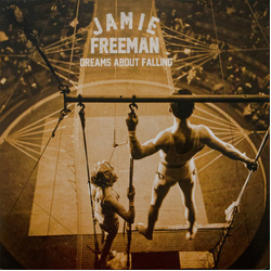 Jamie Freeman Dreams About Falling Vinyl LP USED