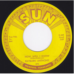 Rayburn Anthony How Well I Know / Big Dream USED VINYL 7INCH 45 RPM SINGLE