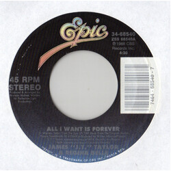 J.T. Taylor / Regina Belle All I Want Is Forever USED VINYL 7INCH 45 RPM STYRENE