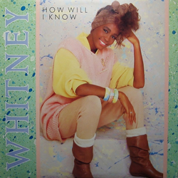 Whitney Houston How Will I Know Vinyl 12" USED