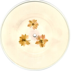 The Lotus Eaters You Don't Need Someone New USED VINYL 7INCH PICTURE DISC 45 RPM LIMITED EDITION